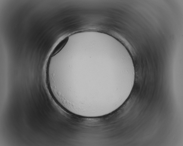 X0000086801483200705111825