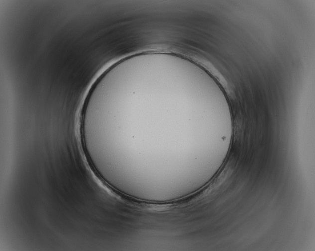 X0000086801484200705111825