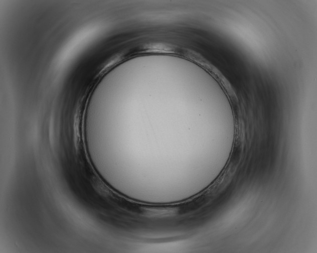 X0000086801487200705111825