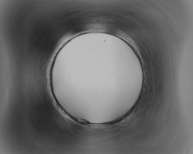 X0000086801488200705111825