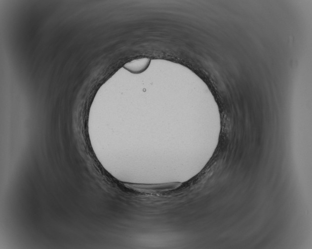 X0000086801489200705111824