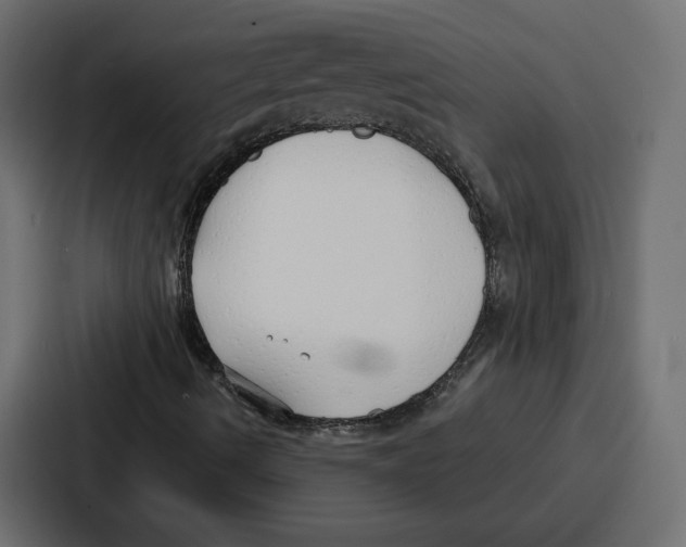 X0000086801490200705111824