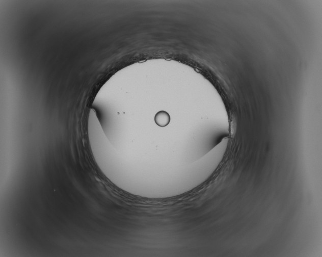 X0000086801492200705111824