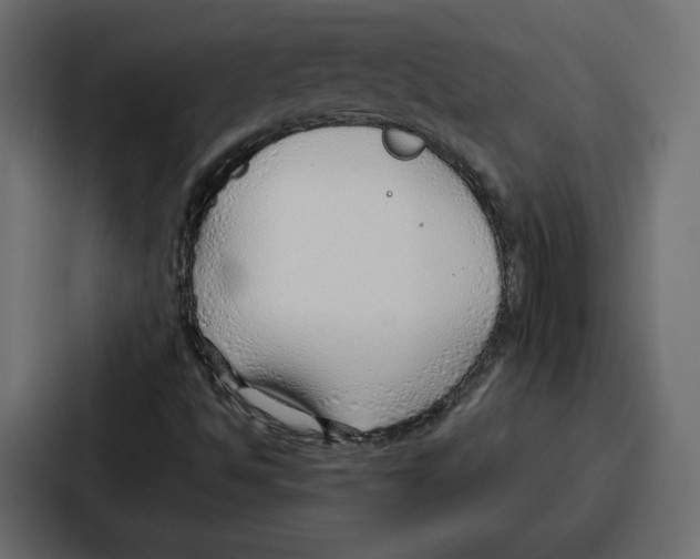 X0000086801494200705111825