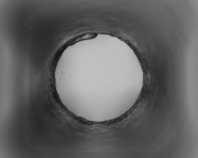 X0000086801496200705111825