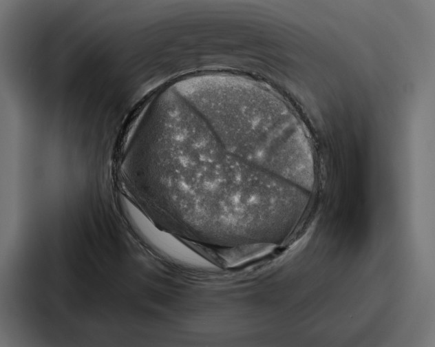 X0000086801497200705111825