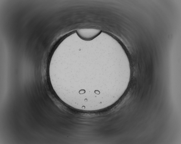 X0000086801499200705111825