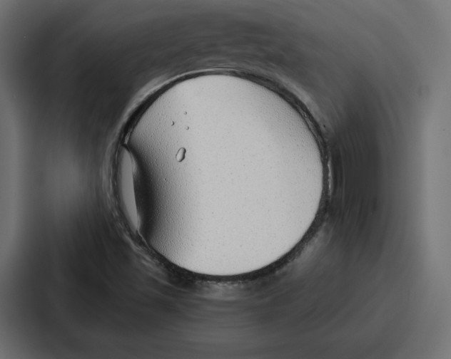 X0000086801501200705111825