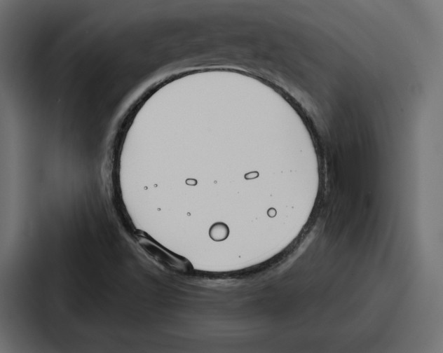 X0000086801502200705111825