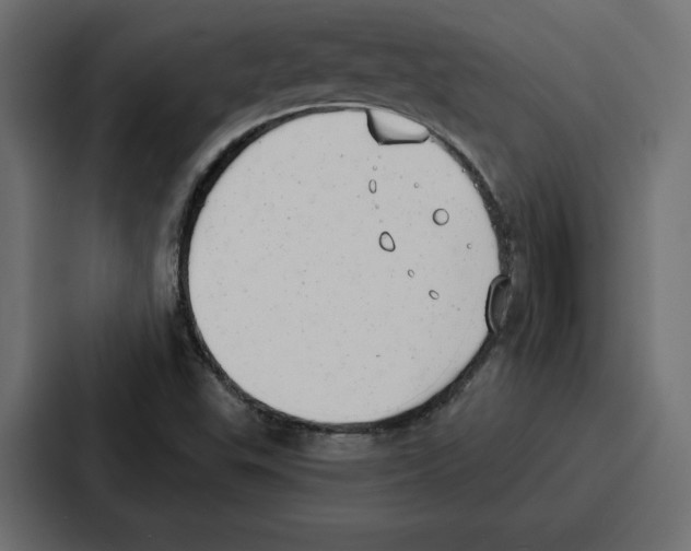 X0000086801503200705111825