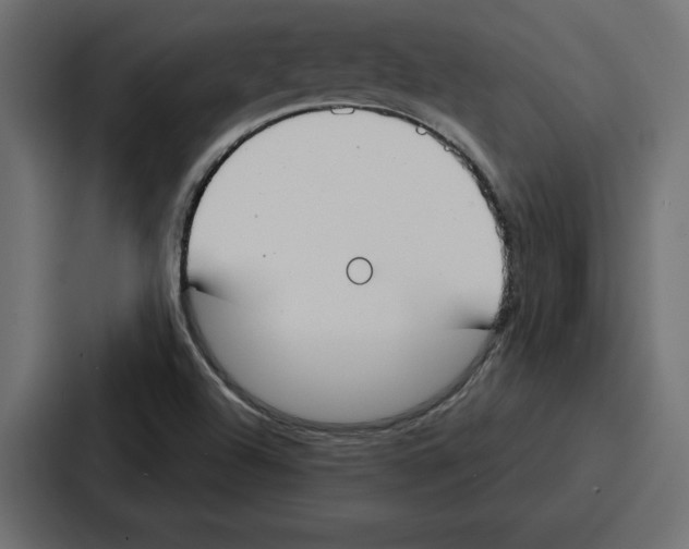 X0000086801504200705111825