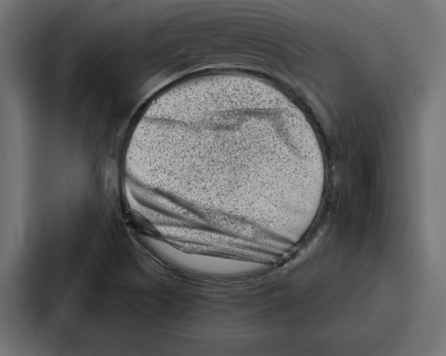 X0000086801505200705111825