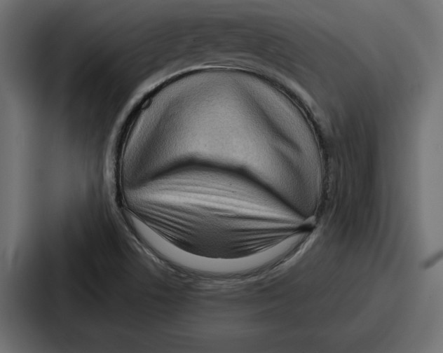 X0000086801506200705111825