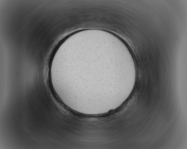 X0000086801507200705111825