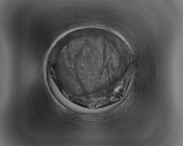 X0000086801508200705111825