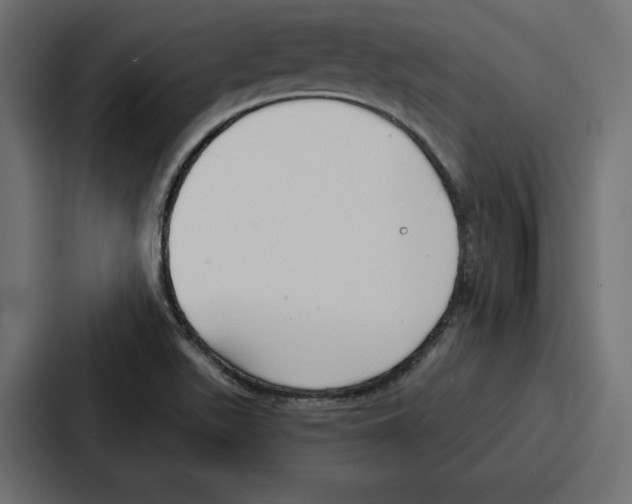 X0000086801511200705111825