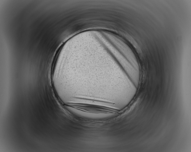 X0000086801513200705111825