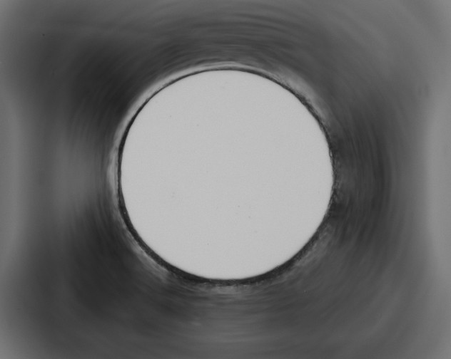 X0000086801516200705111825