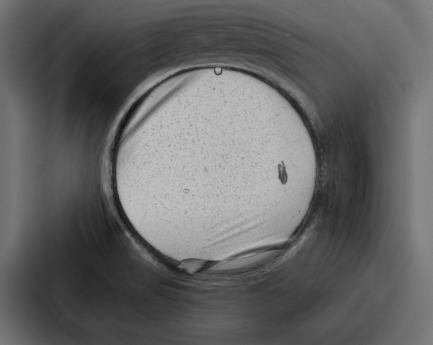 X0000086801517200705111825