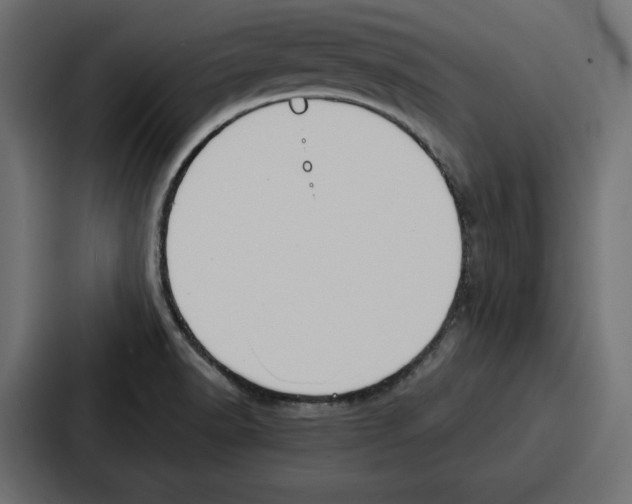 X0000086801518200705111825