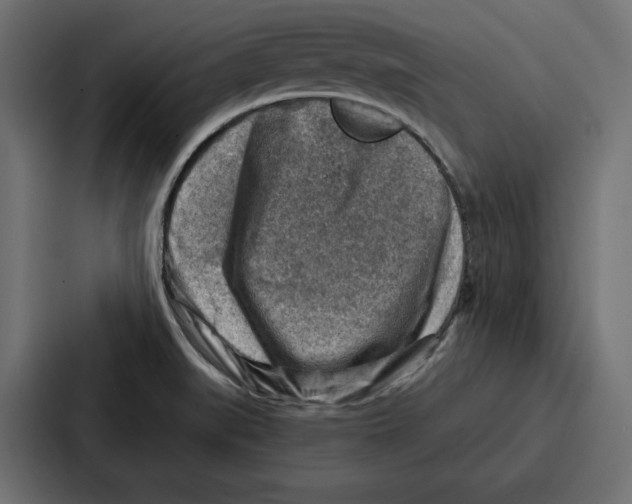 X0000086801519200705111825