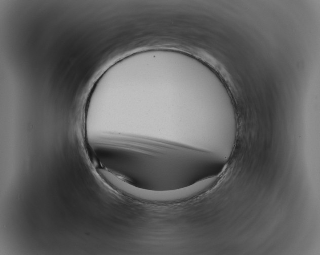 X0000086801520200705111825