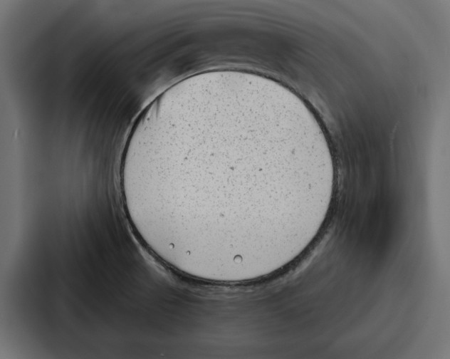 X0000086801521200705111825