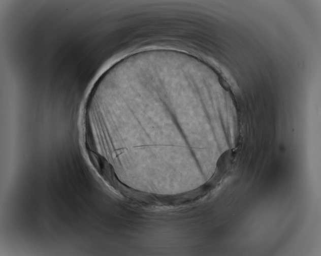 X0000086801522200705111825