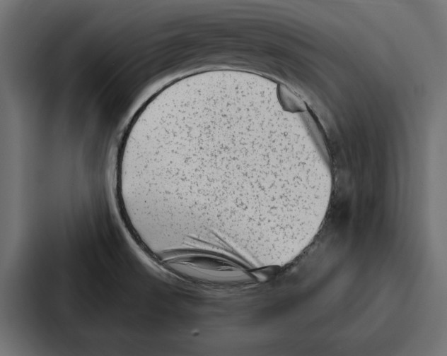 X0000086801523200705111825