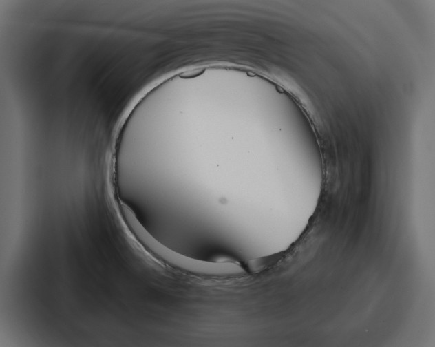 X0000086801524200705111825