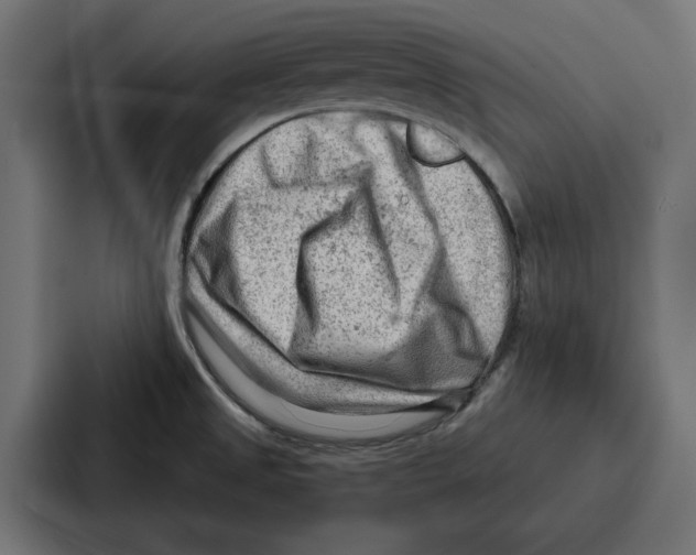 X0000086801525200705111825