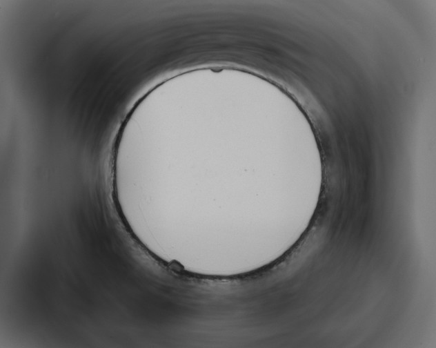 X0000086801526200705111825