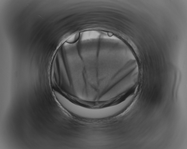 X0000086801529200705111825