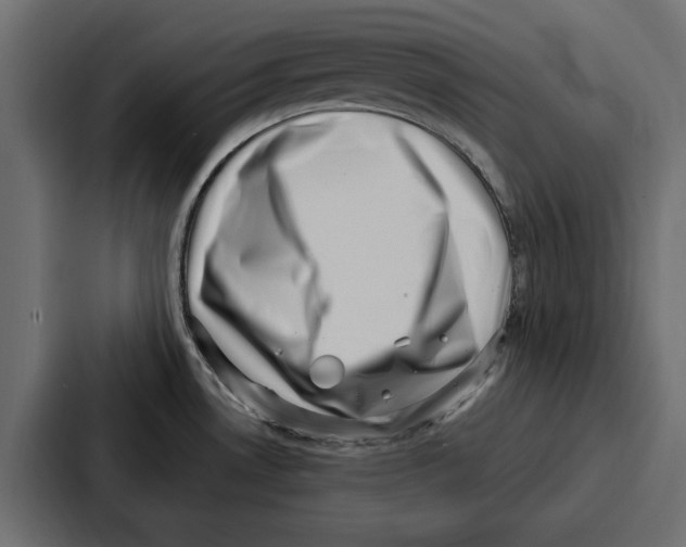 X0000086801530200705111825