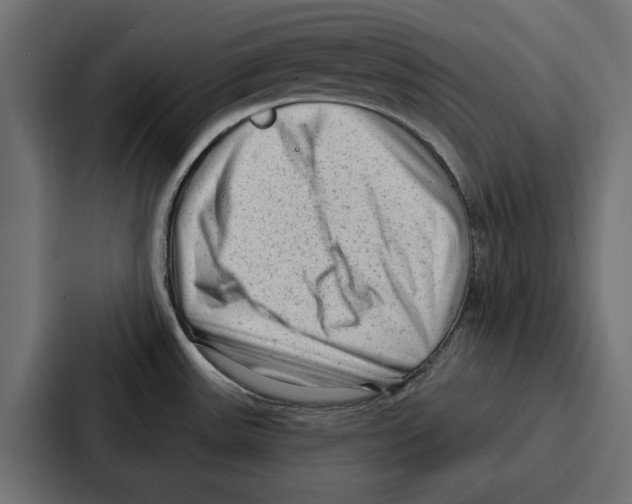 X0000086801531200705111825