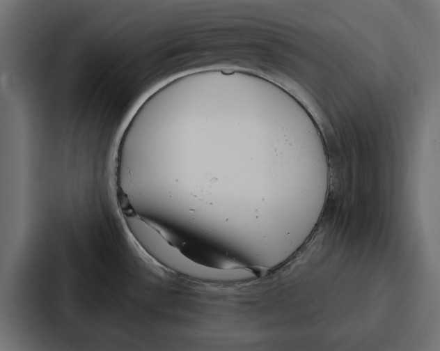 X0000086801532200705111825