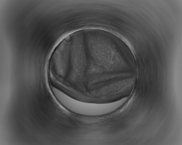 X0000086801533200705111825