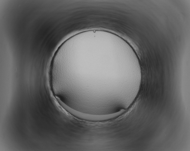 X0000086801534200705111825