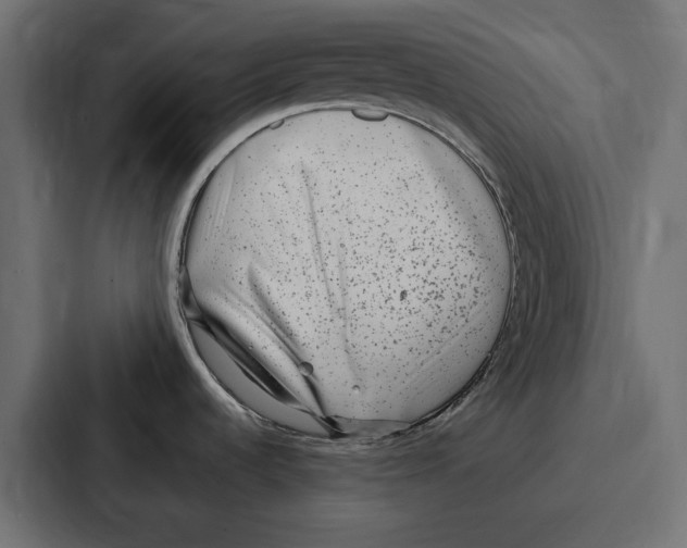 X0000086801536200705111825