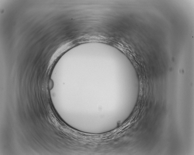 X0000086880004200704160952