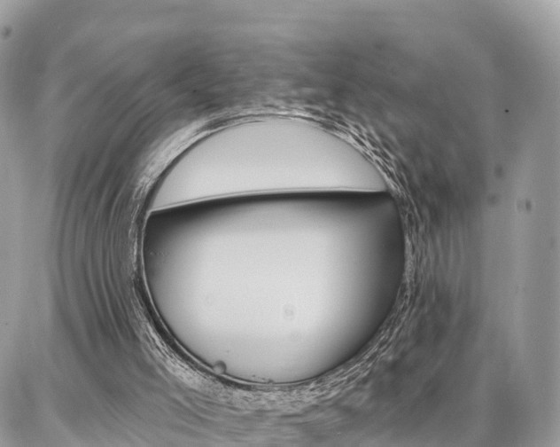 X0000086880005200704160952