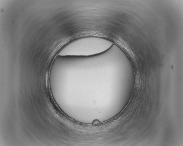 X0000086880014200704160952