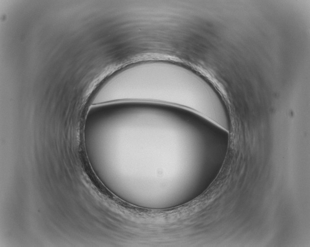 X0000086880015200704160951