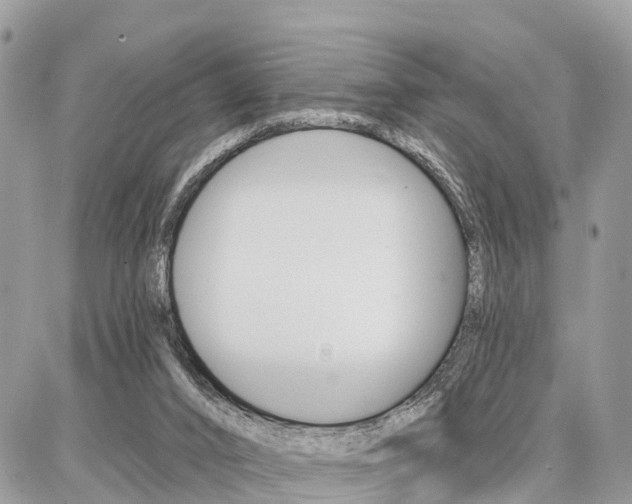 X0000086880016200704160951