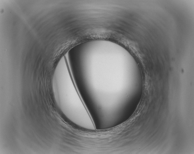 X0000086880017200704160951