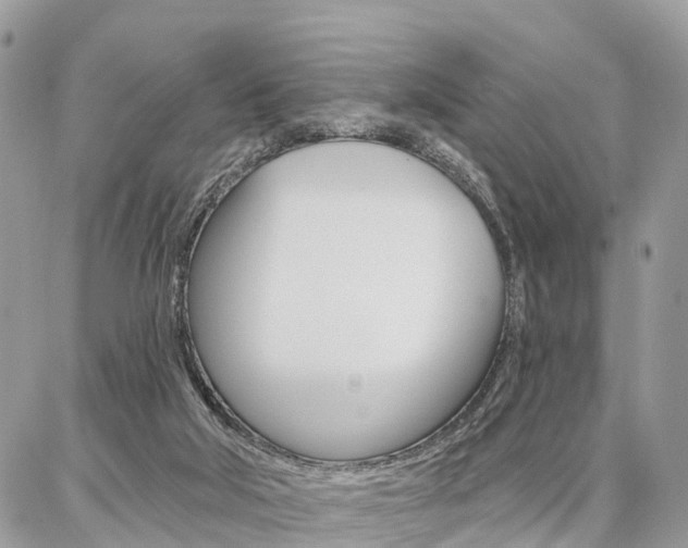 X0000086880018200704160951