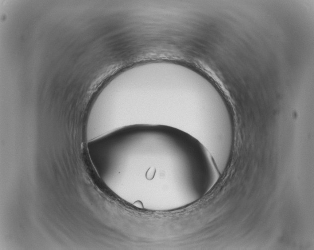 X0000086880019200704160951