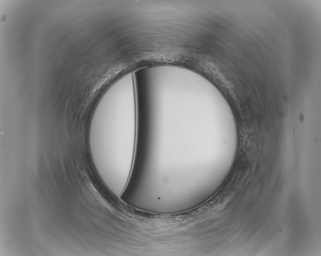 X0000086880020200704160951