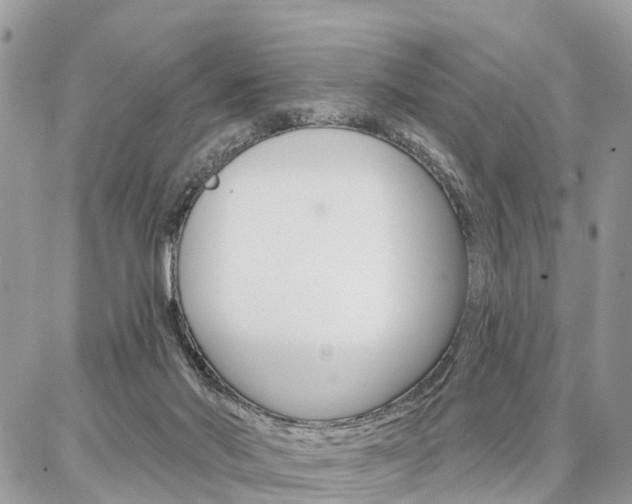 X0000086880022200704160951