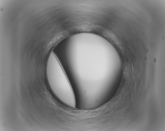 X0000086880023200704160951